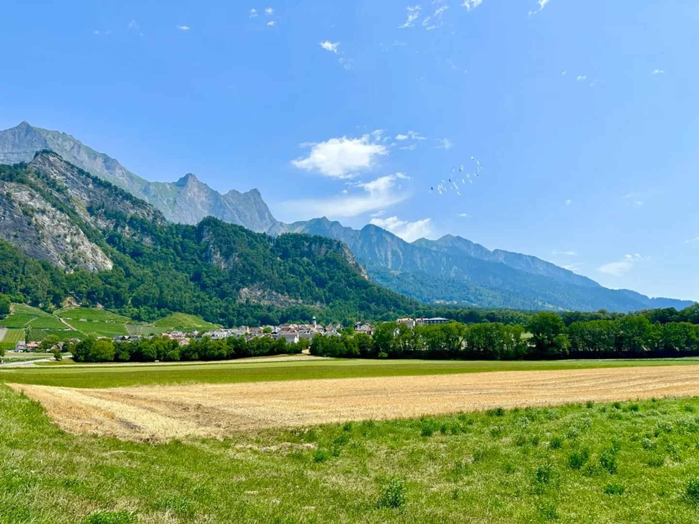 Maison d'habitation et commerciale Mühle dans le village viticole de Fläsch - Photo 5 sur 13
