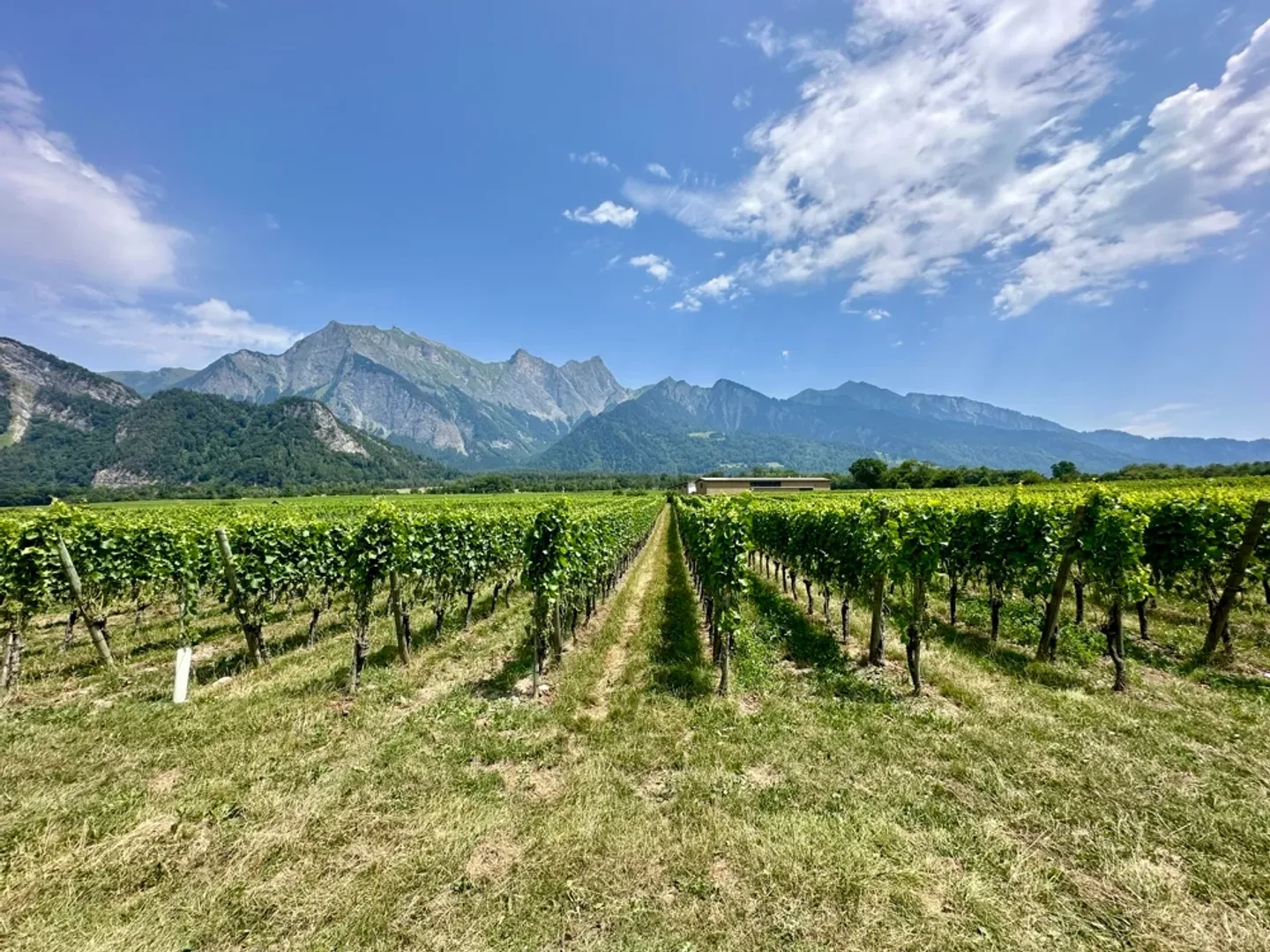 Maison d'habitation et commerciale Mühle dans le village viticole de Fläsch - Photo 6 sur 13