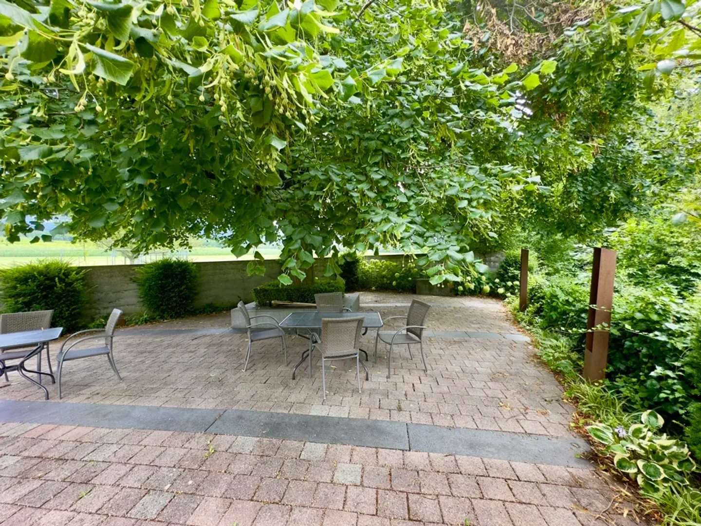 Maison d'habitation et commerciale Mühle dans le village viticole de Fläsch - Photo 4 sur 13