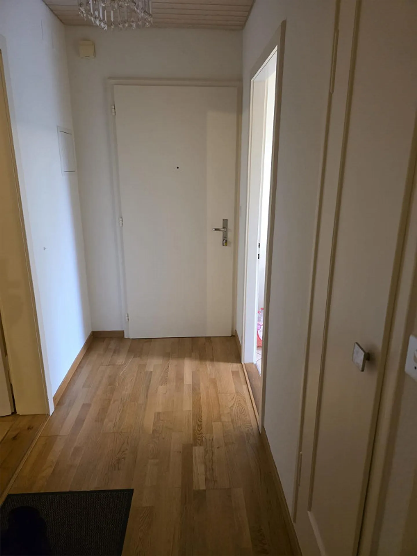 2.5 Room Apartment for Rent in Zurich - Saatlenstrasse - Photo 3 of 7