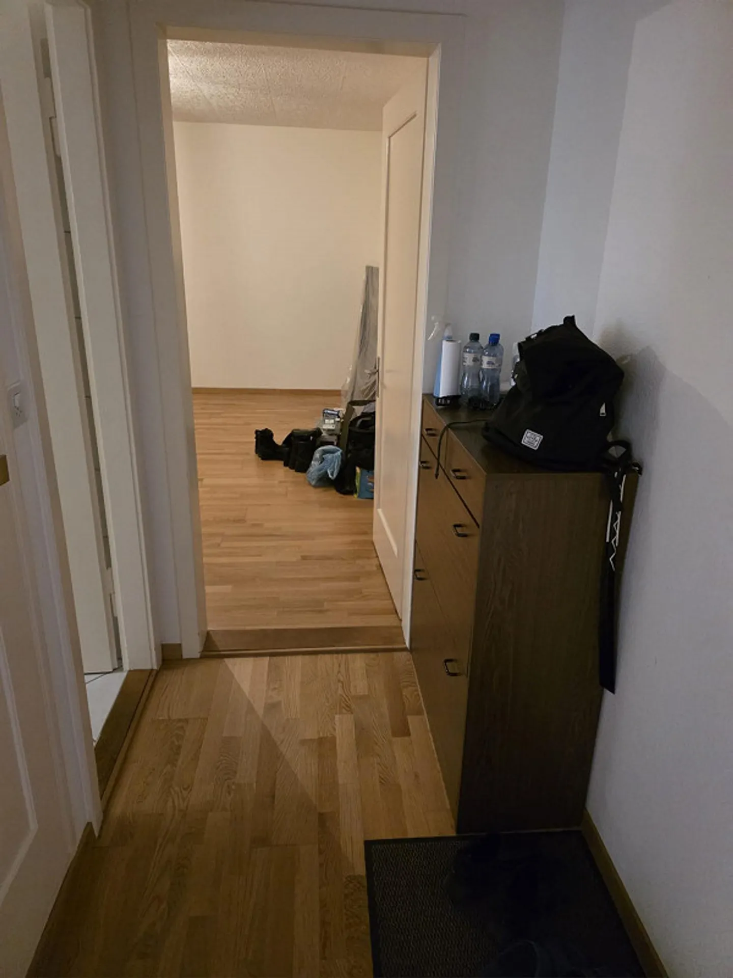 2.5 Room Apartment for Rent in Zurich - Saatlenstrasse - Photo 4 of 7