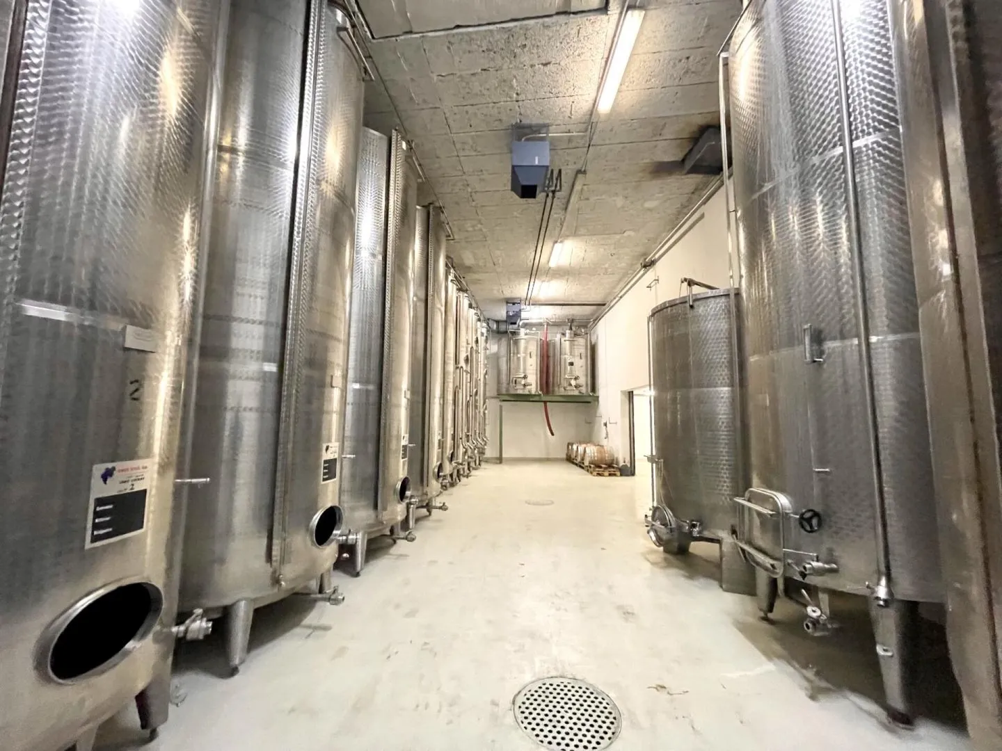 Azienda vinicola 10 stanze 578 m2 a Salgesch - Foto 5 di 19