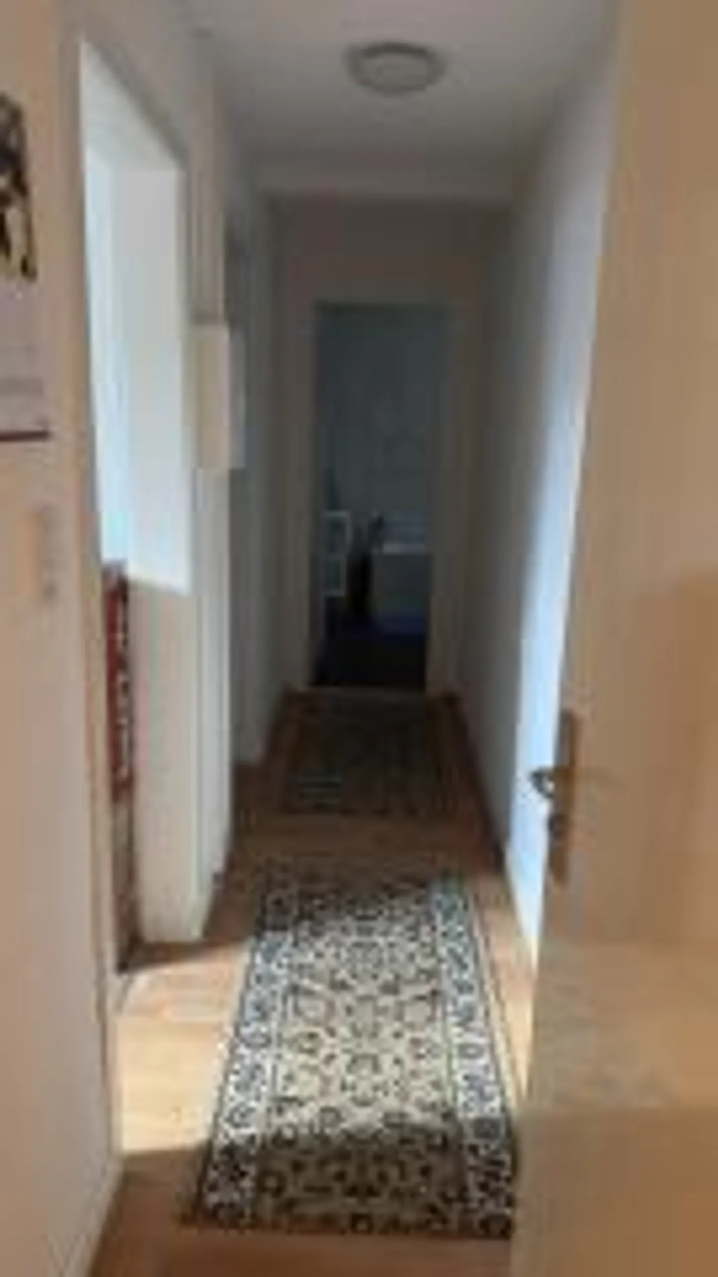 Appartement 2,5 pièces avec grande terrasse - Photo 4 sur 8