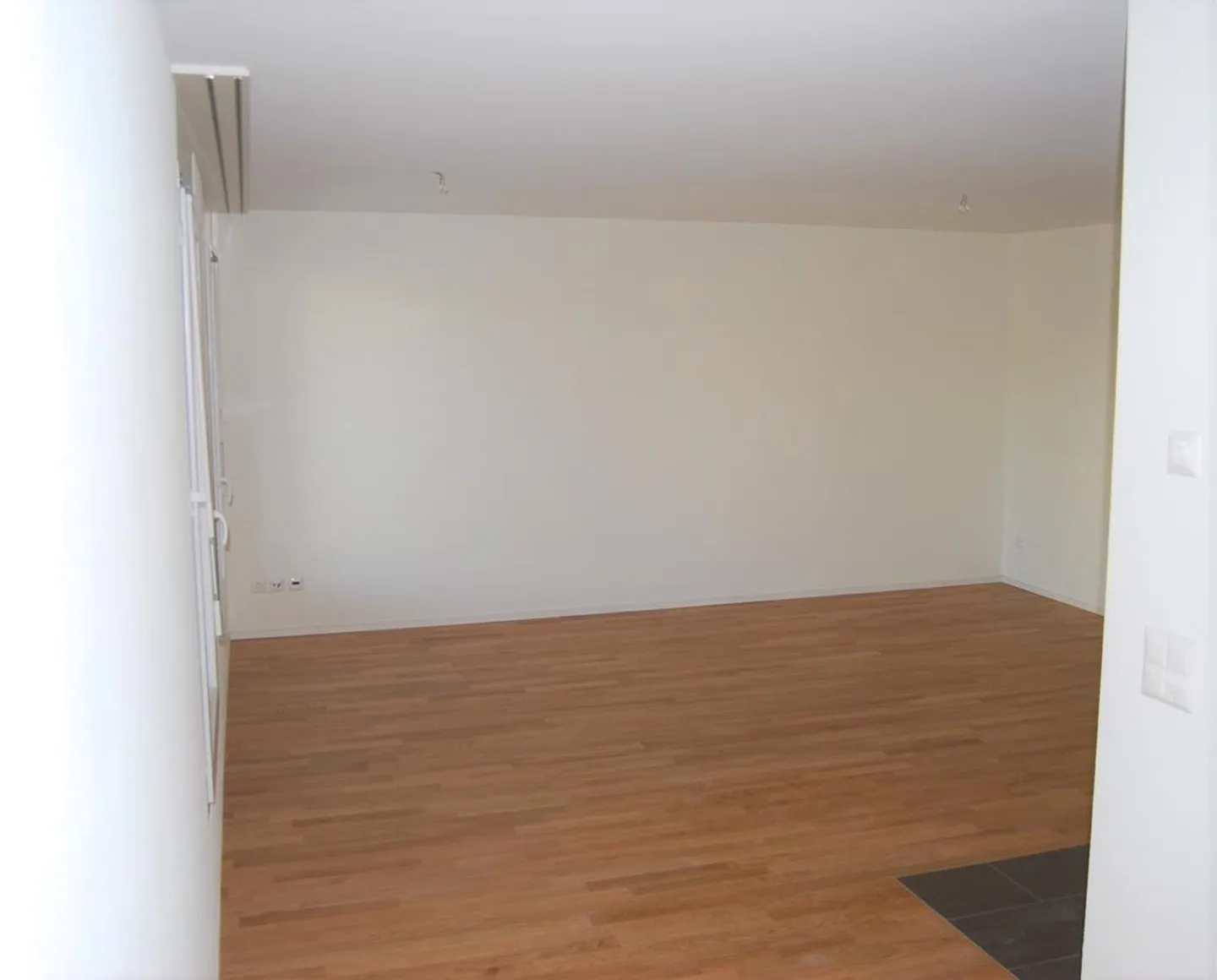 Viewing: Monday, November 10, 2025 from 4:00 PM to 4:30 PM - Photo 4 of 5