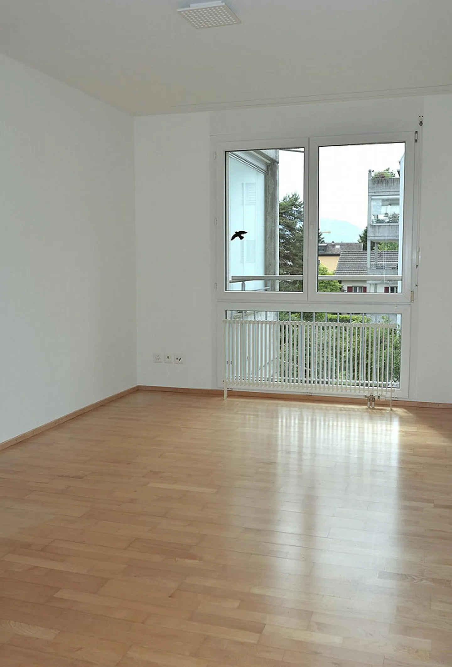 Geräumige 5.5 Zimmer Wohnung - Foto 12 von 14