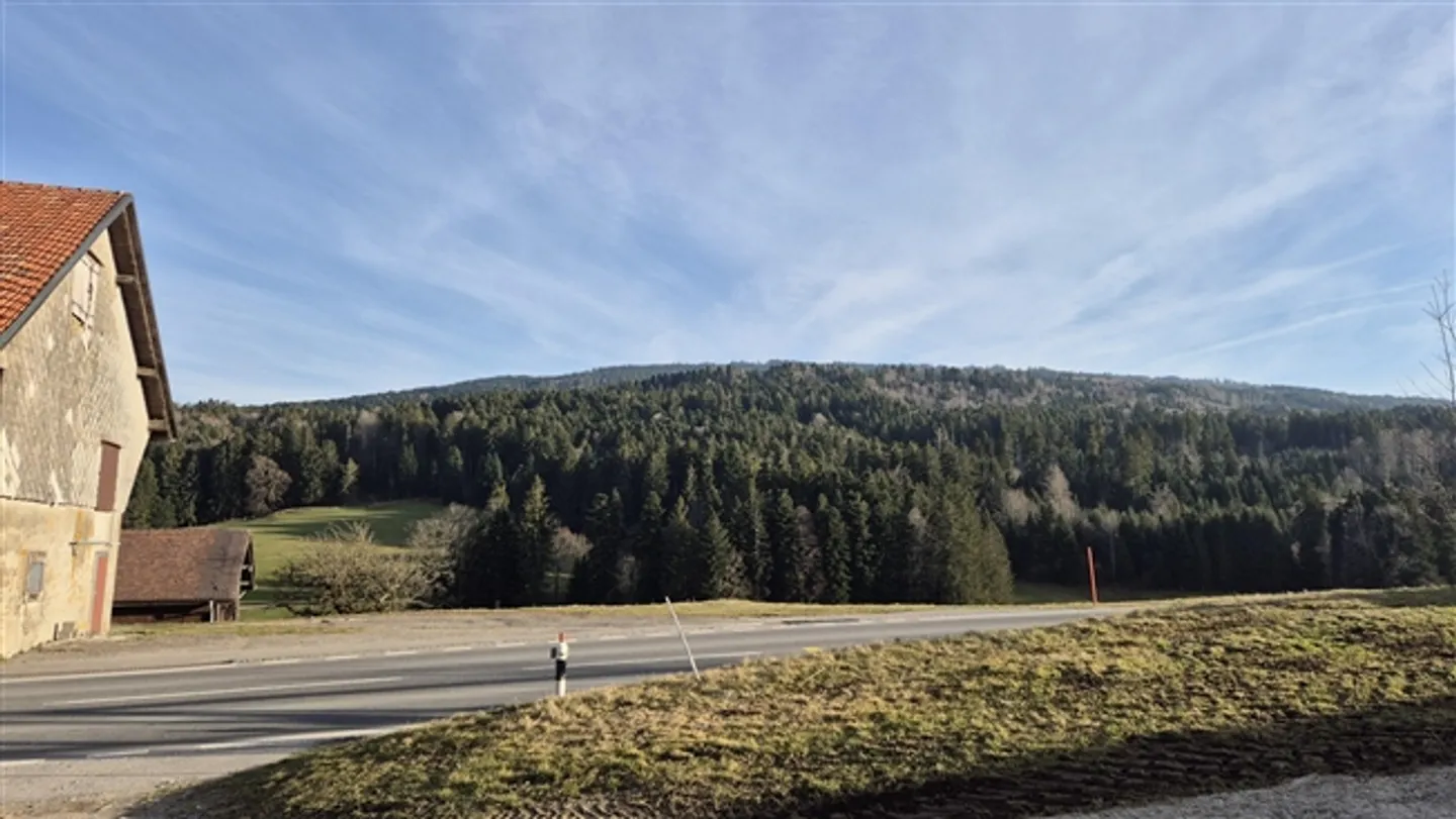 Outstanding large farmhouse to renovate near Bulle (FR) - Photo 15 of 16