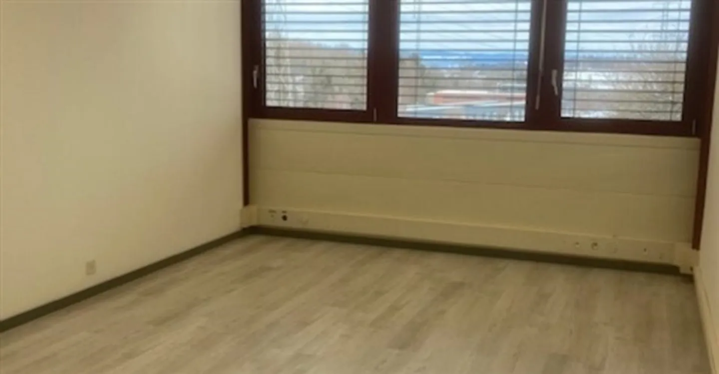 Espace Commercial à Mont-sur-Lausanne - Photo 3 sur 6