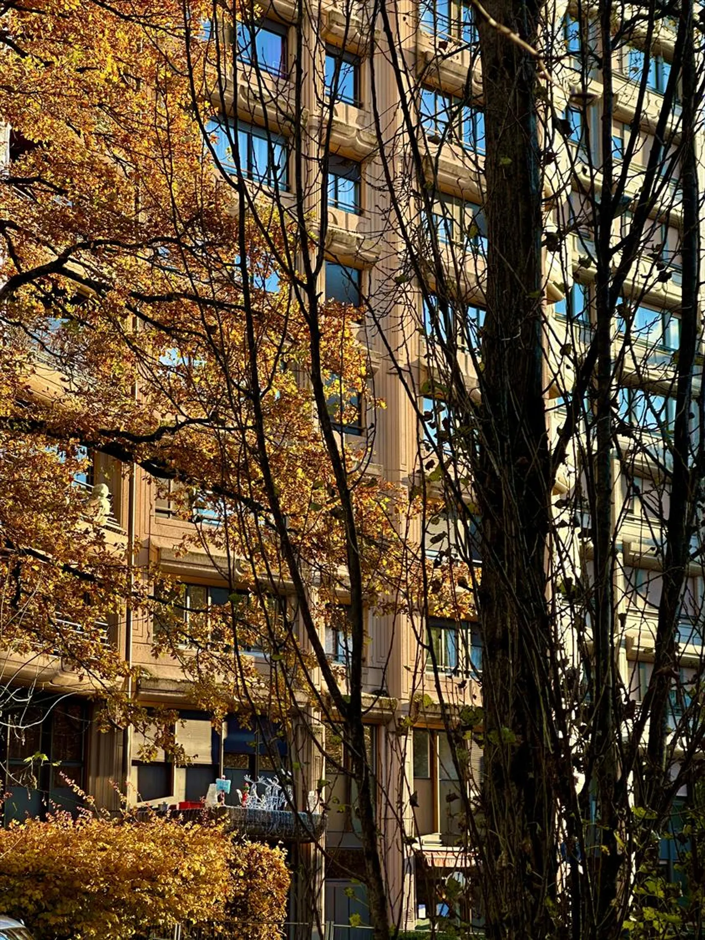 Heart of Champel 6 Gable Room – Flooded with Light, Bright and Spacious - Photo 18 of 21