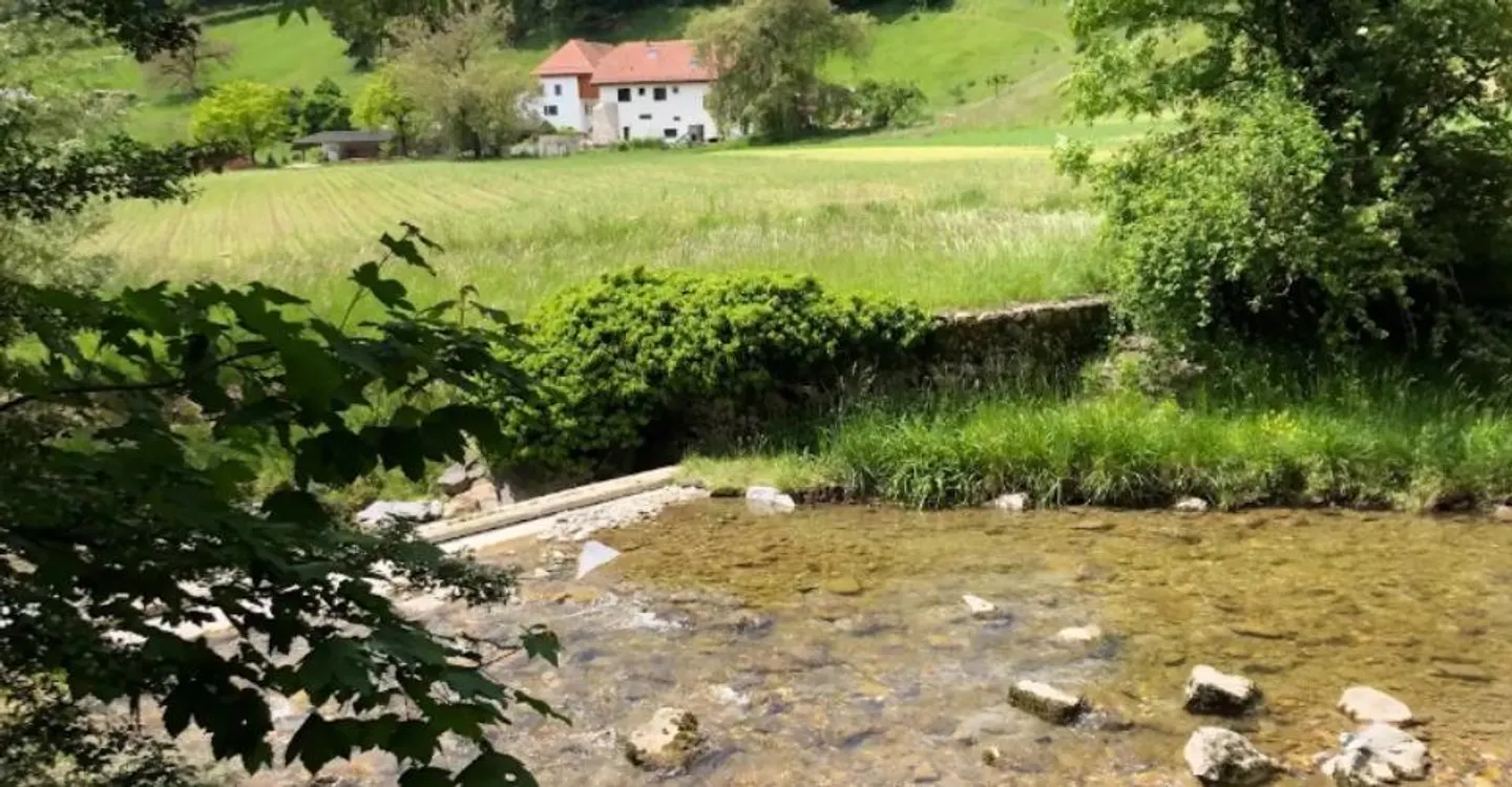 Ferme Rénovée Près de l'École - Photo 2 sur 16