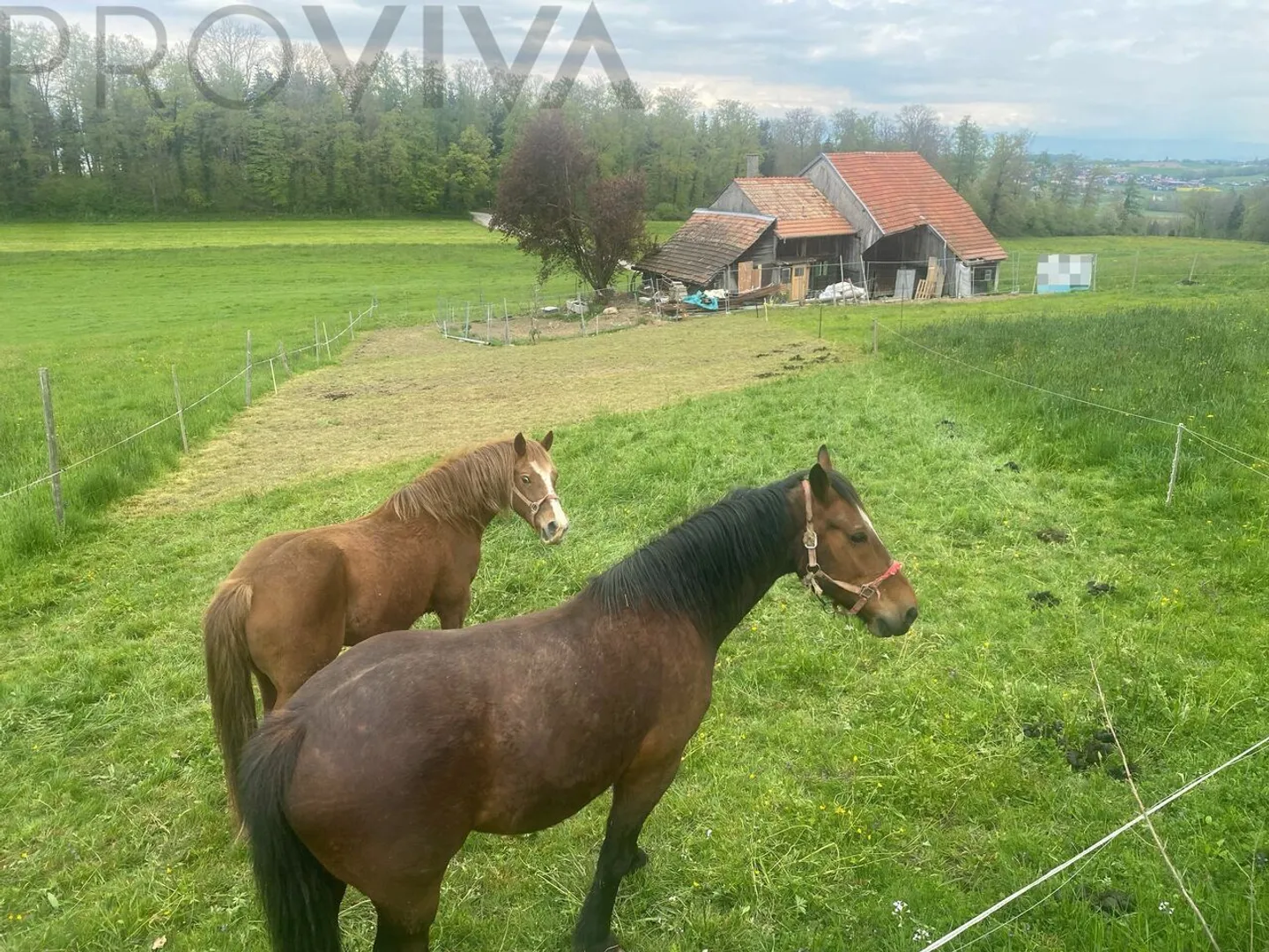 2600 m2 plot just 11 minutes from the Avry Center in Matran - Photo 1 of 5