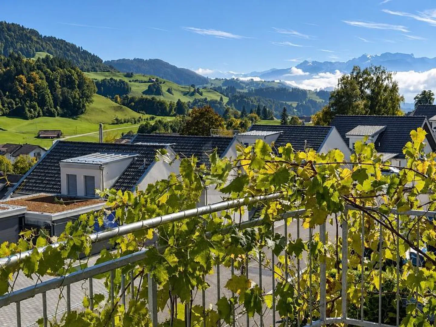 VISTA PANORAMICA CON MOLTO SPAZIO E UTILIZZO FLESSIBILE - Foto 2 di 6
