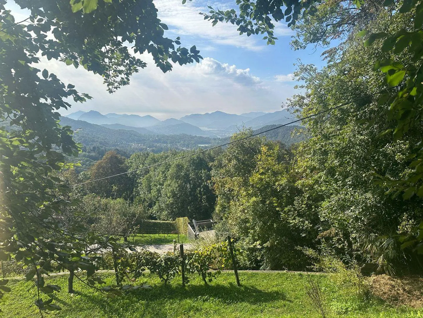 "Sala Capriasca - Building Plot" - Photo 3 of 3