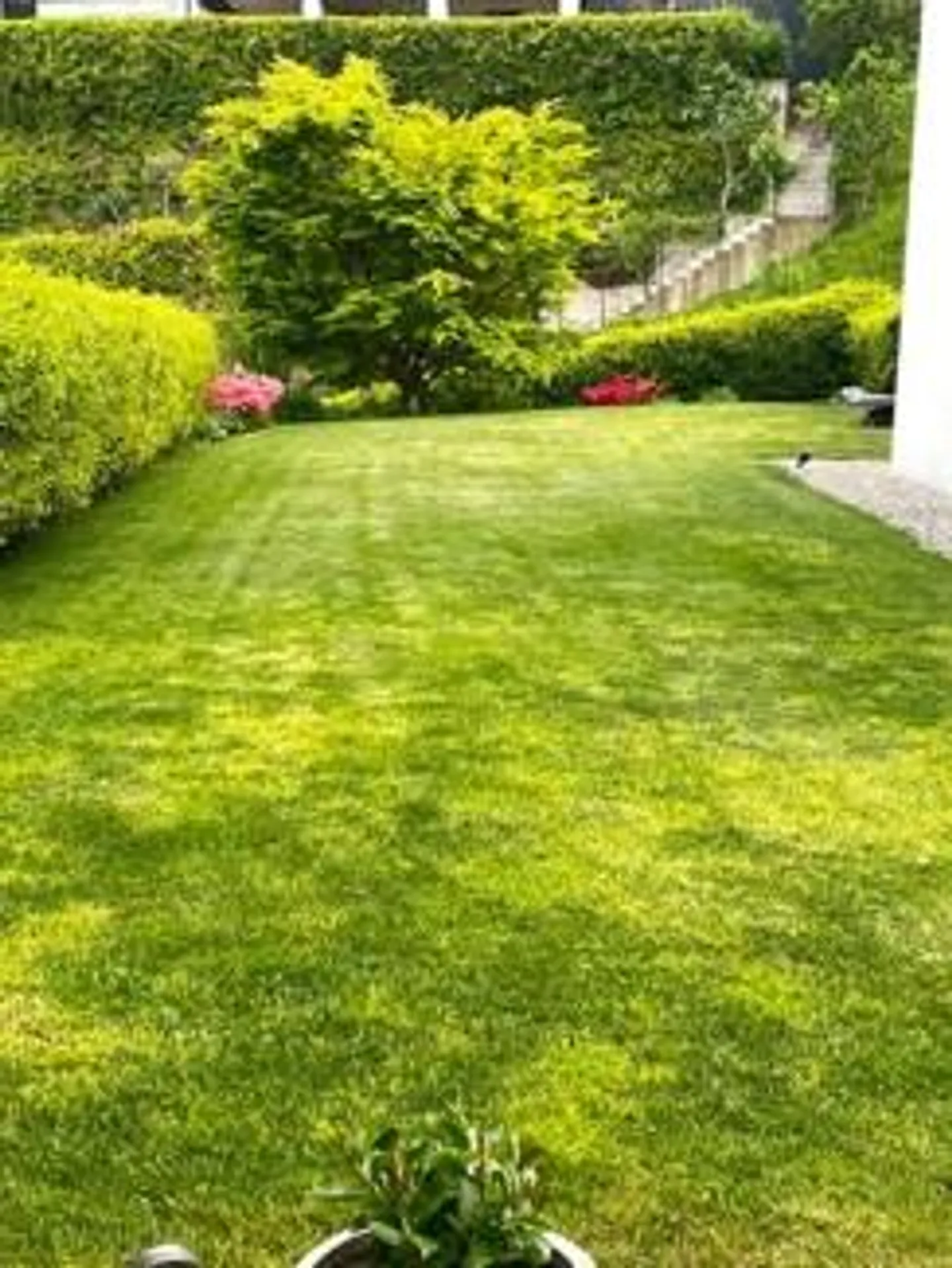 Villa à Bosco Luganese - Photo 28 sur 30