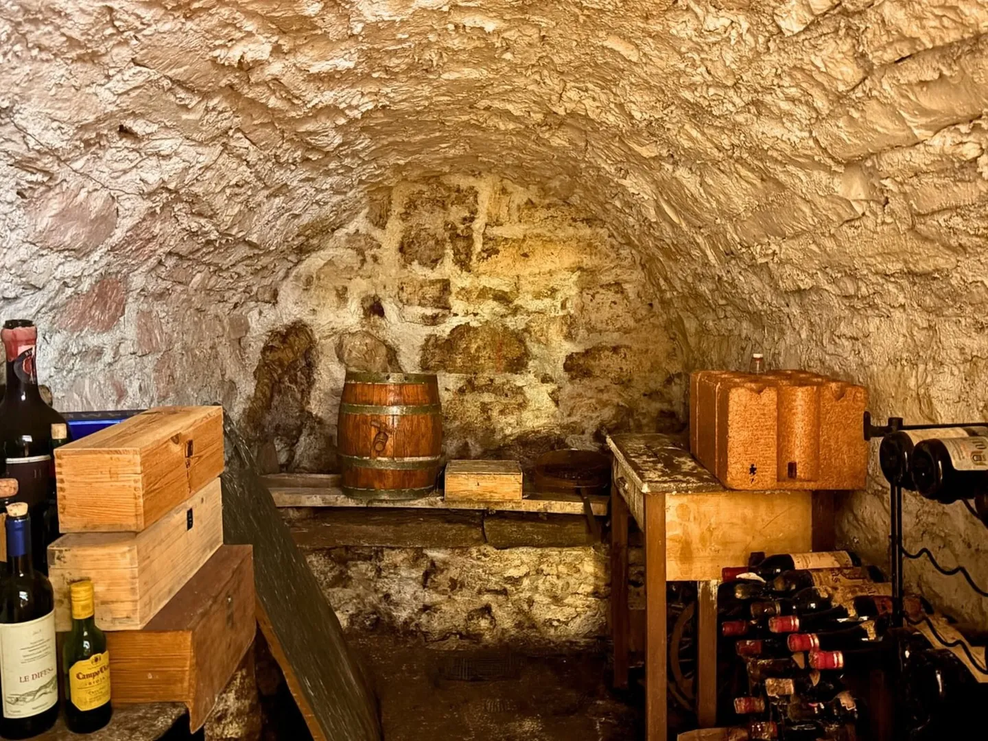 Living immersed in nature - Photo 10 of 10