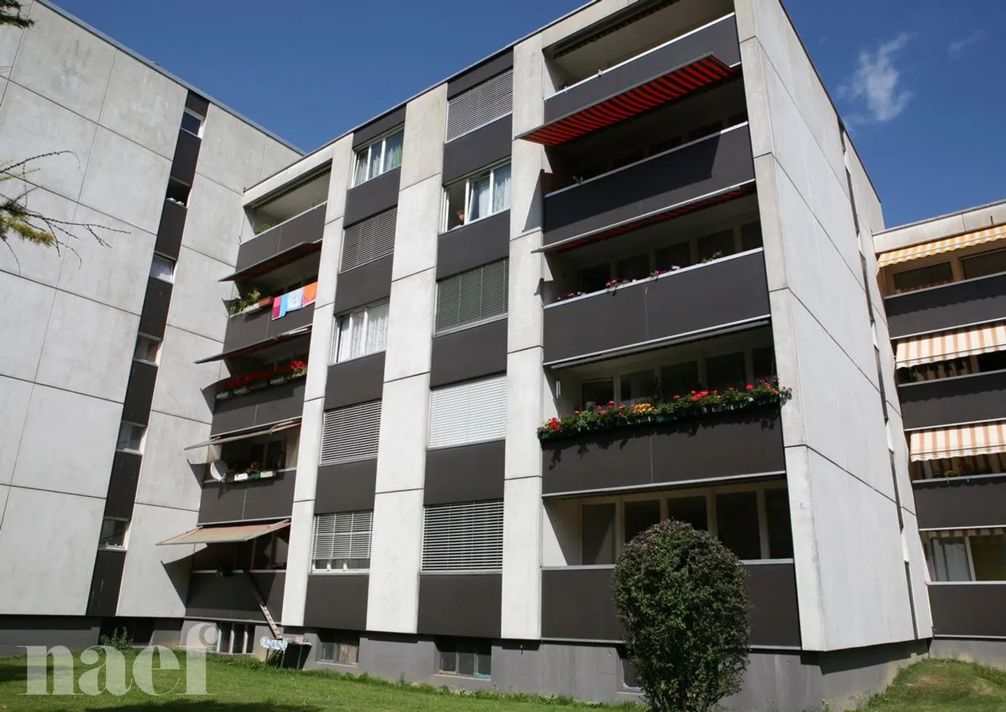 Appartamento 3.5 stanze - Foto 1 di 9