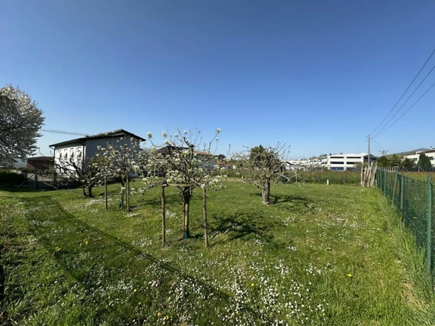 Interessante casa unifamiliare o bifamiliare in campagna, con vista e grande terreno annesso - zona Gorla - Foto 16 di 17