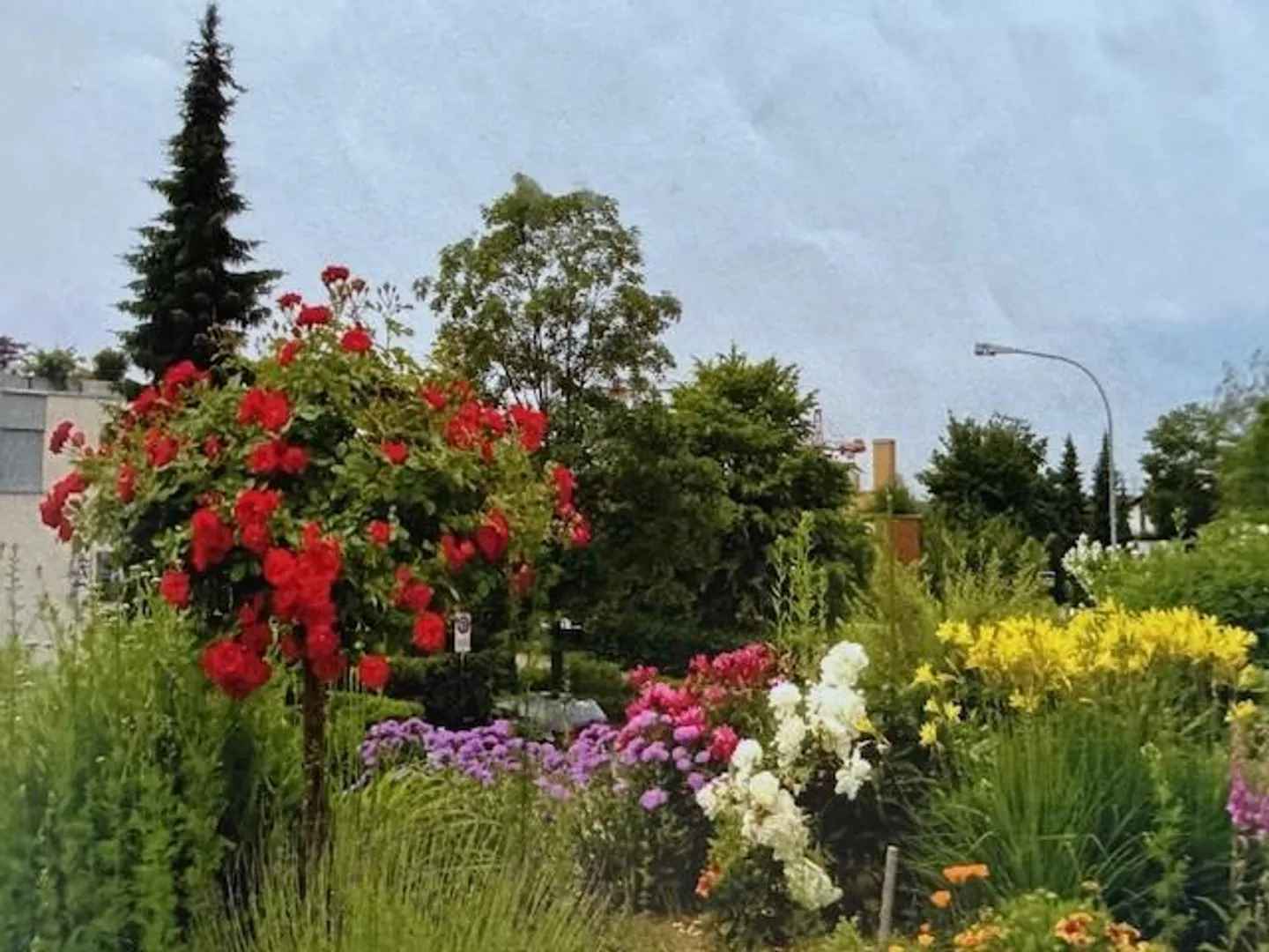 Casa a terrazza di 6 stanze, adatta per animali e bambini a Bülach - Foto 3 di 12