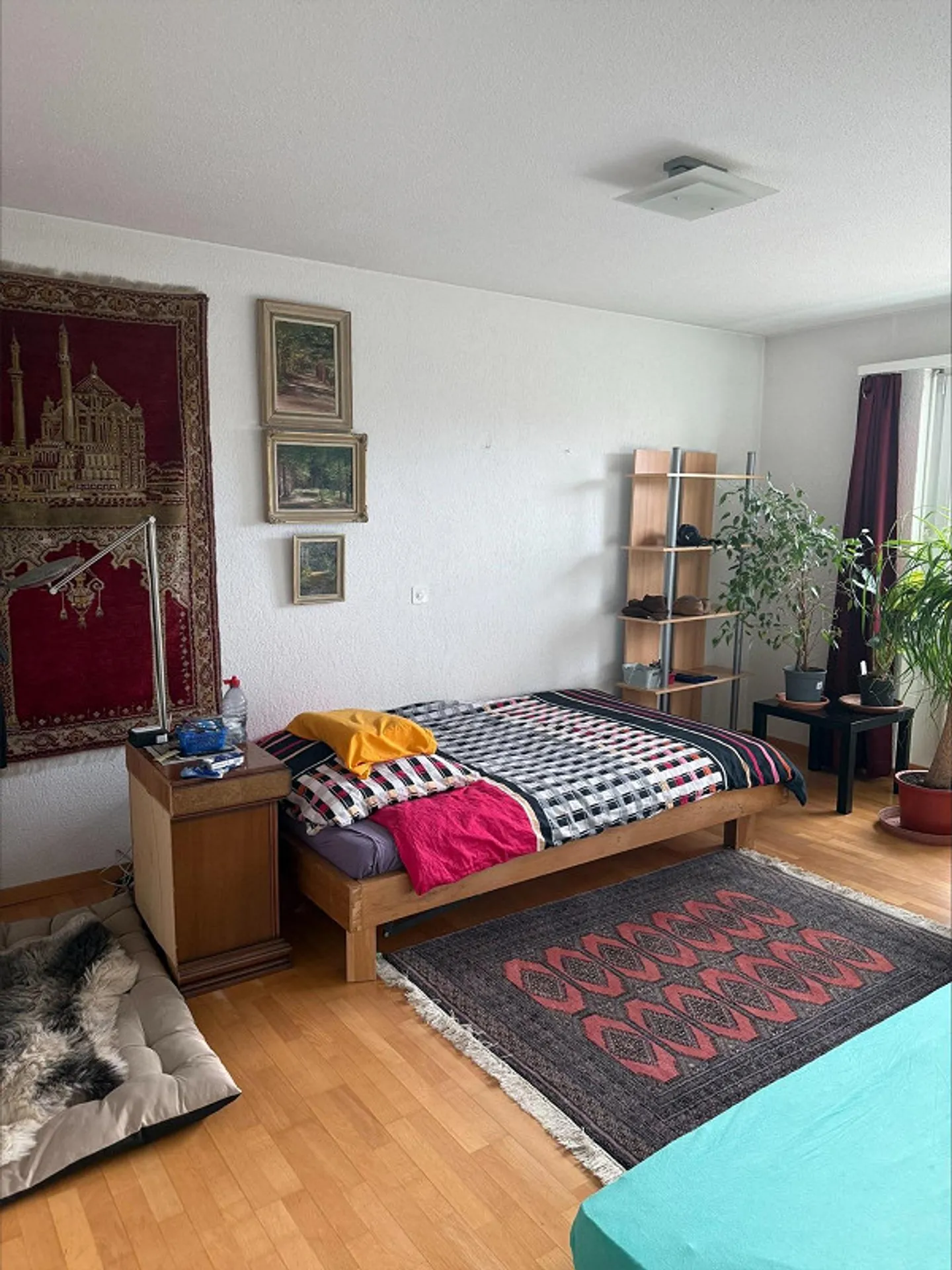 Casa a terrazza di 6 stanze, adatta per animali e bambini a Bülach - Foto 6 di 12