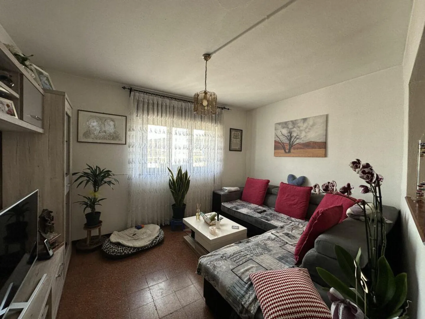 Complesso residenziale interessante con potenziale di ristrutturazione e cortile privato con piccolo giardino - Foto 10 di 14