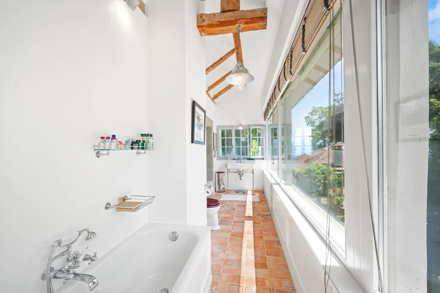 St-Prex - Sontuosa proprietà di 7'500m2, a piedi nell'acqua - Foto 10 di 13