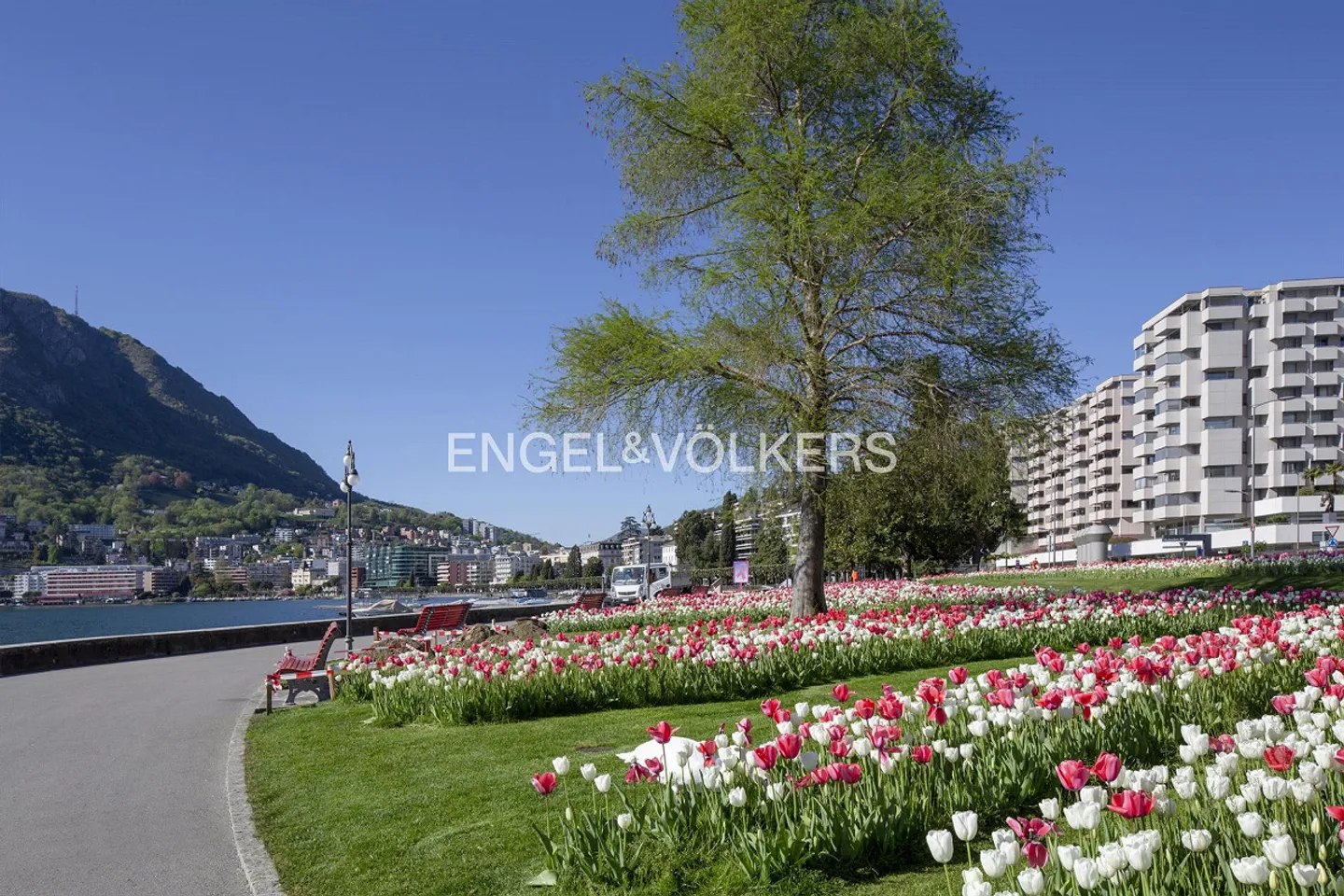 Appartement exclusif sur les rives du lac de Lugano - Photo 10 sur 13