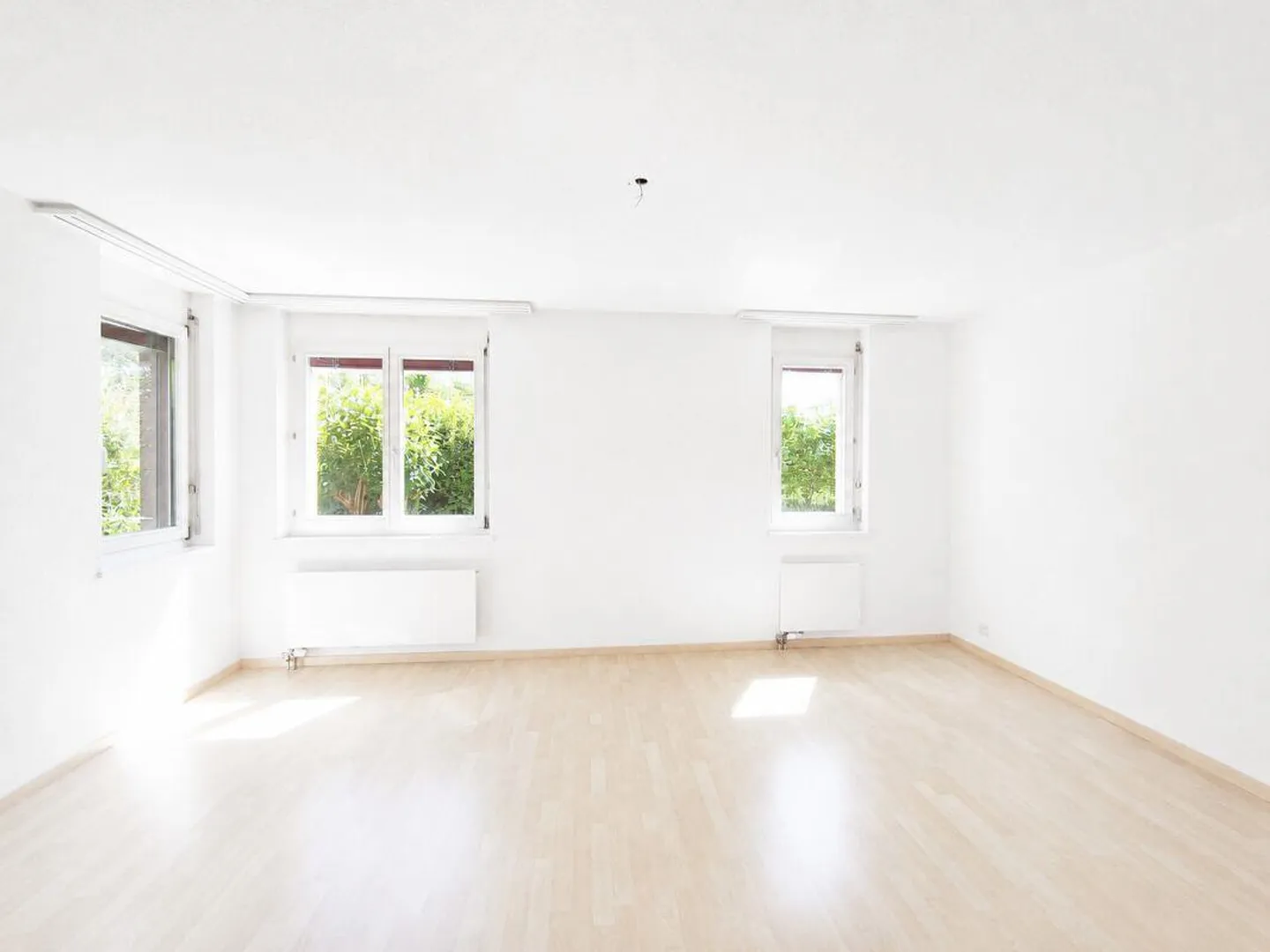 Maison de rêve avec cheminée et patio - Photo 4 sur 13