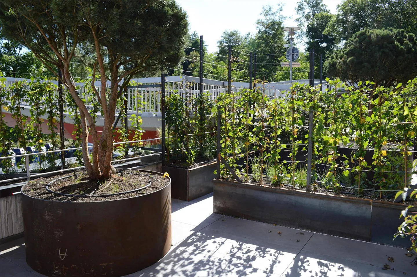 Appartamento giardino moderno 1.5 camere con terrazza - Foto 5 di 12
