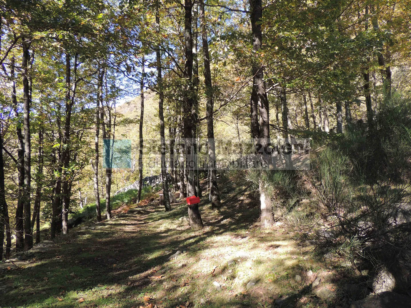 Rustic Elegance: Relax and Nature - Photo 23 of 29