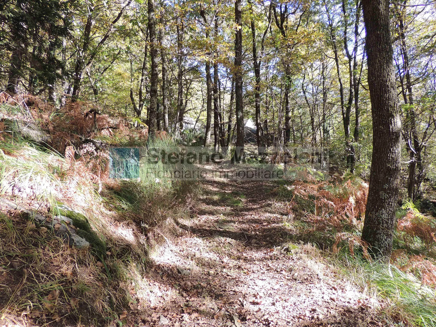 Rustic Elegance: Relax and Nature - Photo 25 of 29