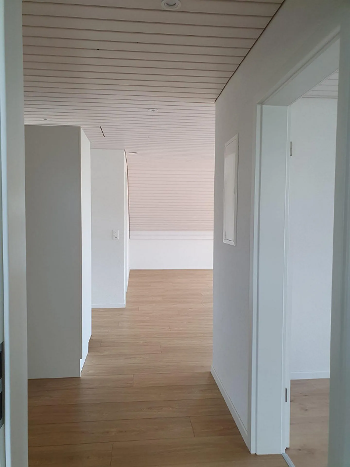 Appartamento da sogno di 3,5 stanze a Flurlingen con vista diretta - Foto 16 di 17