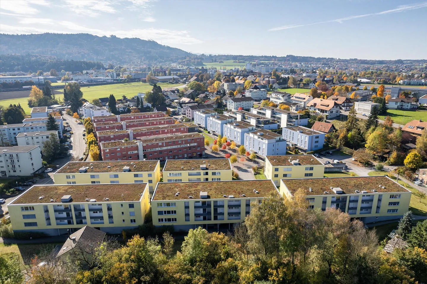 Appartamento soleggiato con area salotto cercasi? - Affitto senza deposito - Foto 3 di 8