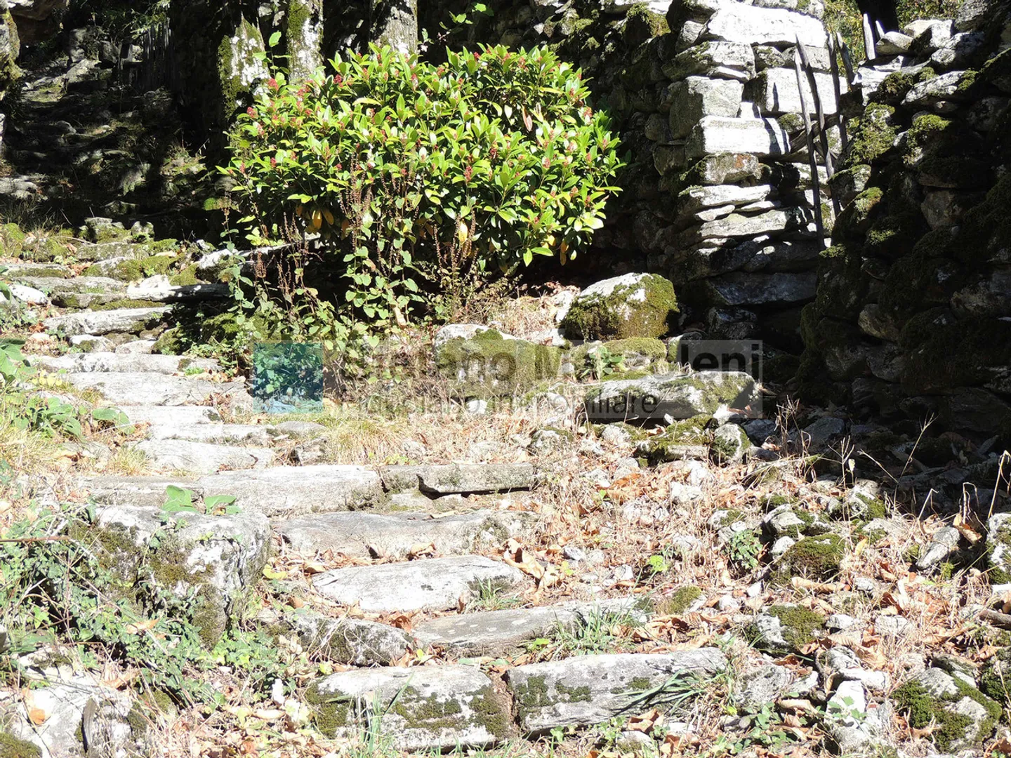 Rustic Elegance: Relax and Nature - Photo 26 of 29