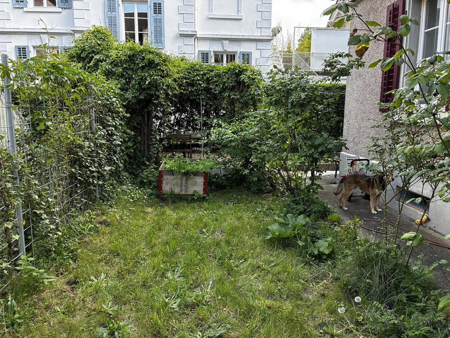 Appartamento 3 locali in posizione centrale con uso del giardino - Foto 15 di 16