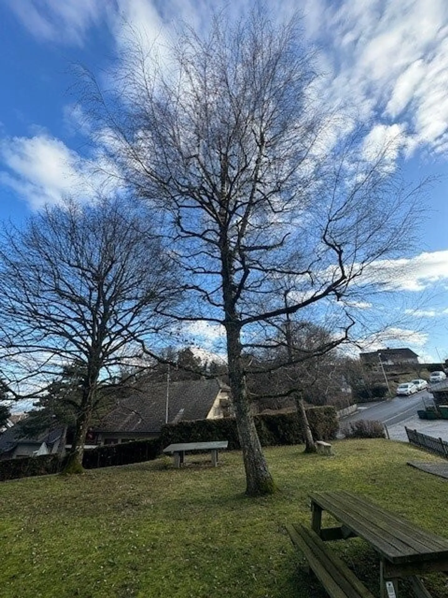 Incantevole casa a tre piani - Foto 10 di 10