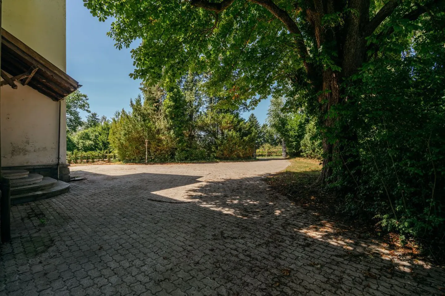 Villa Dreifuss - Where History Writes a New Chapter - Photo 3 of 13