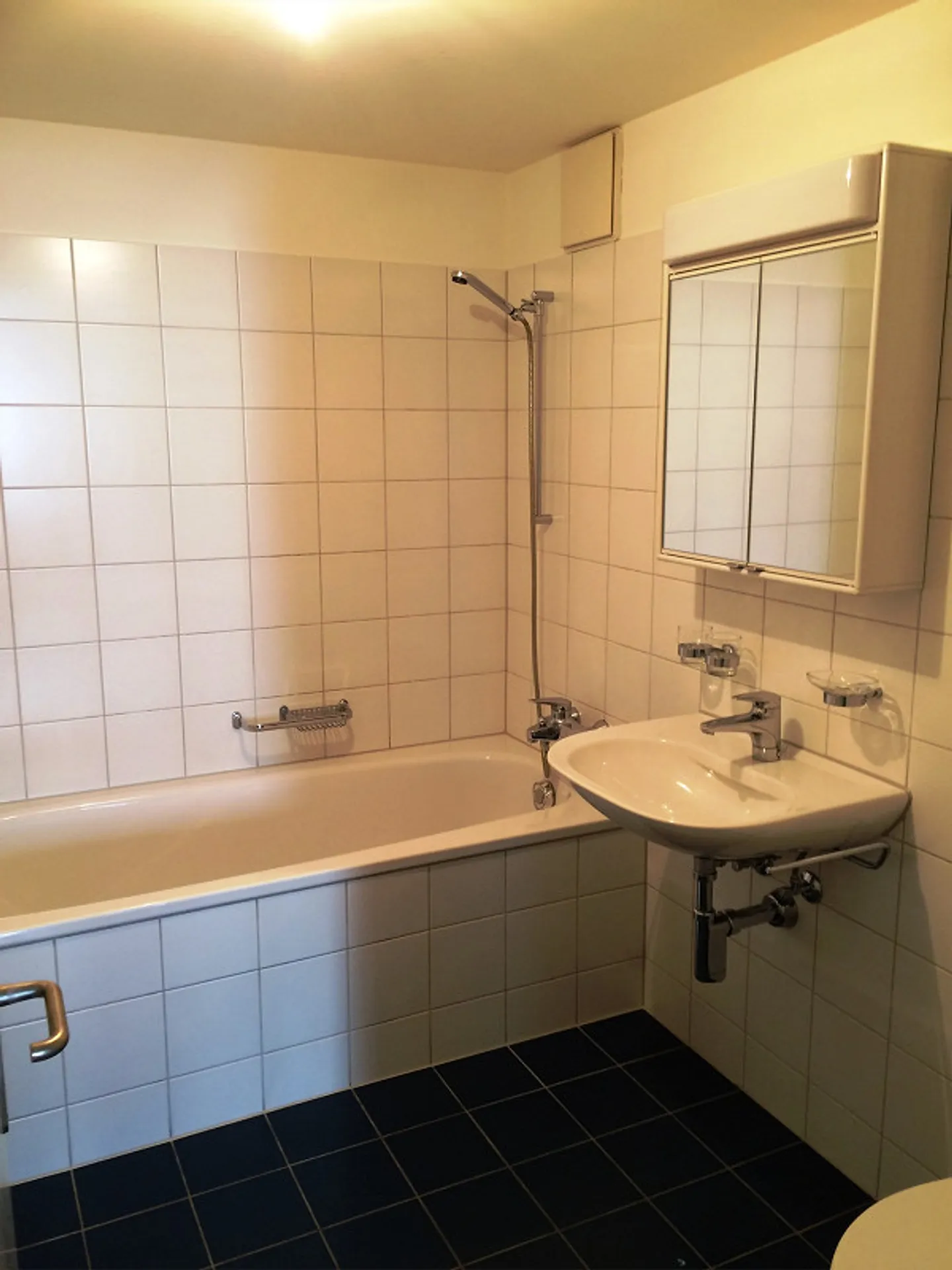 Appartement 2 ½ pièces (80m²) à Sempach - Photo 4 sur 7