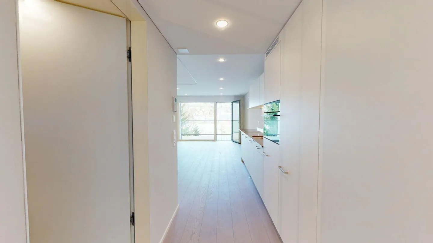 Modern Single Apartment - Photo 3 of 9