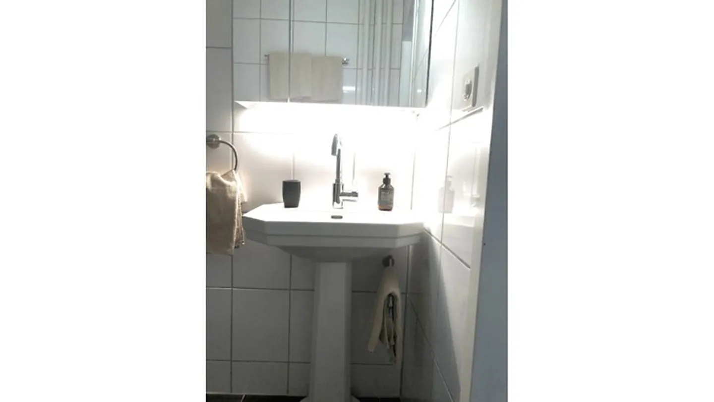APPARTEMENT 2½ PIÈCES À GAMS (SG), MEUBLÉ, TEMPORAIRE - Photo 8 sur 10