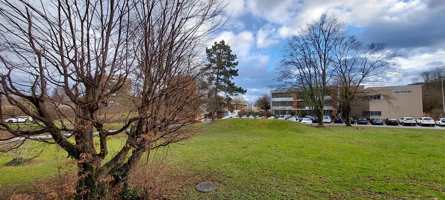 Your new home at the foot of the Wartenberg in Muttenz - Photo 14 of 14