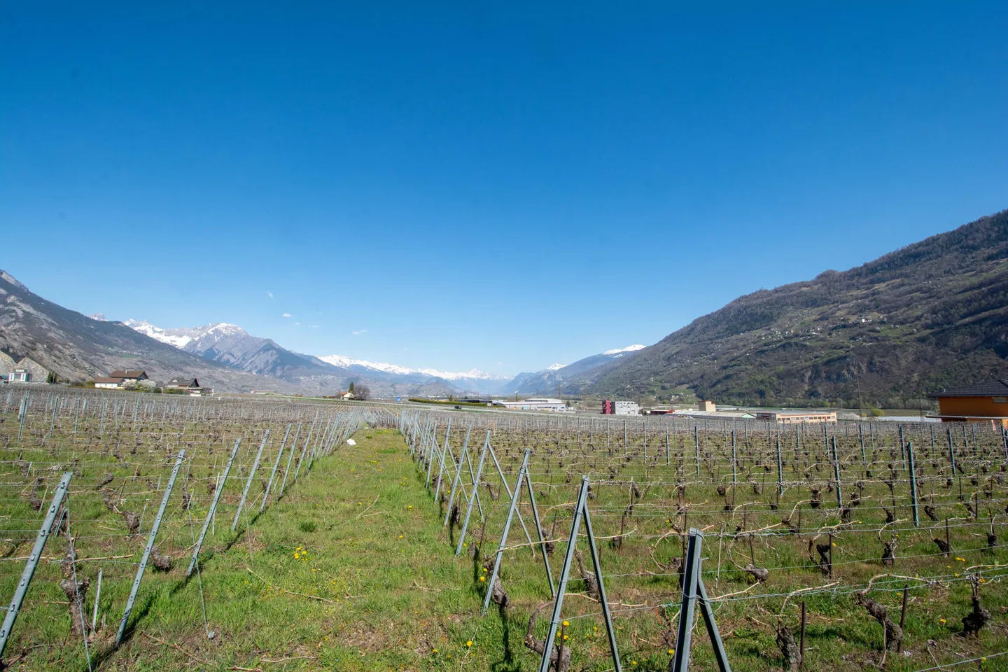 Terreno edificabile in vendita - Foto 1 di 7