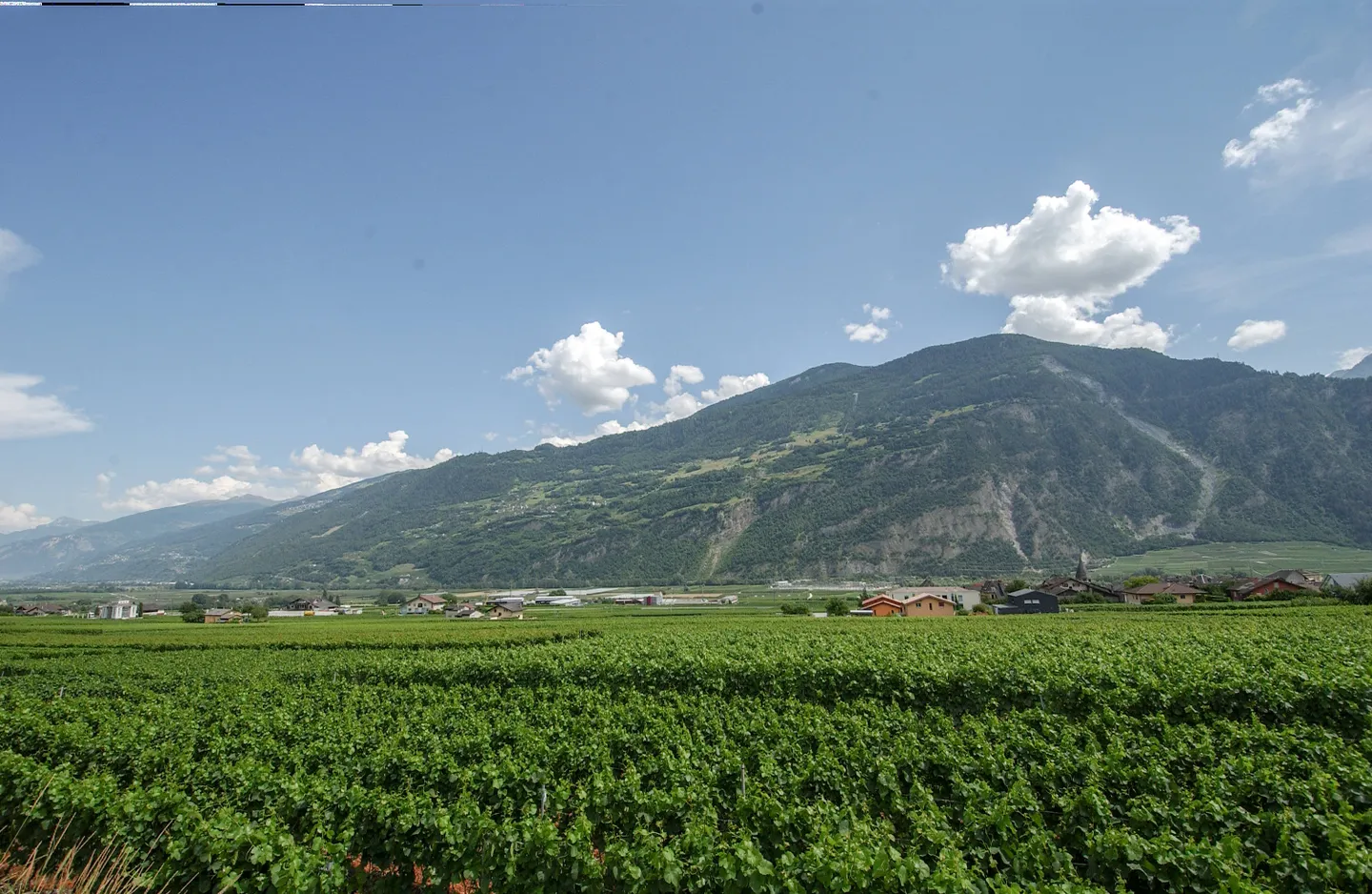 Terreno edificabile in vendita - Foto 7 di 7