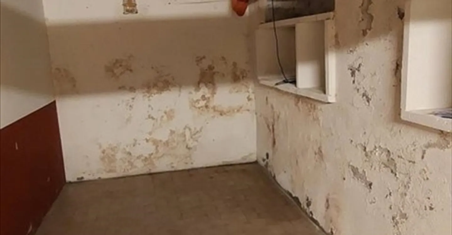 Mixed-use building for rent - Photo 3 of 3