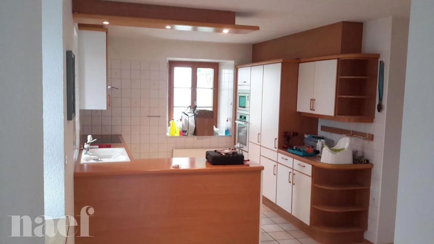 Spacious 7-room duplex - Photo 4 of 13