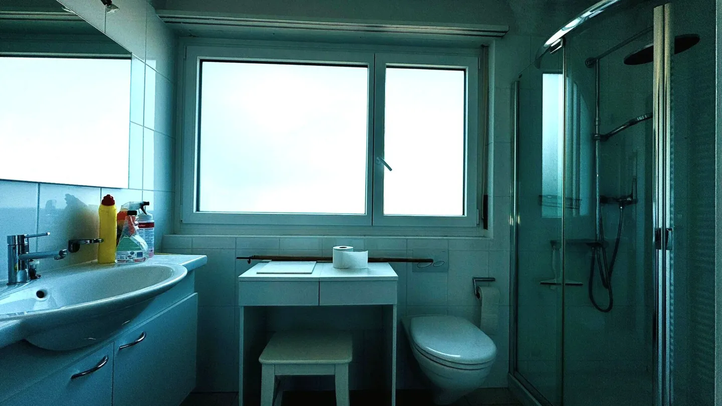 Doppeleinfamilienhaus mit Garten, Garage und grossem Potenzial an ruhiger Lage in Therwil - Foto 17 von 22