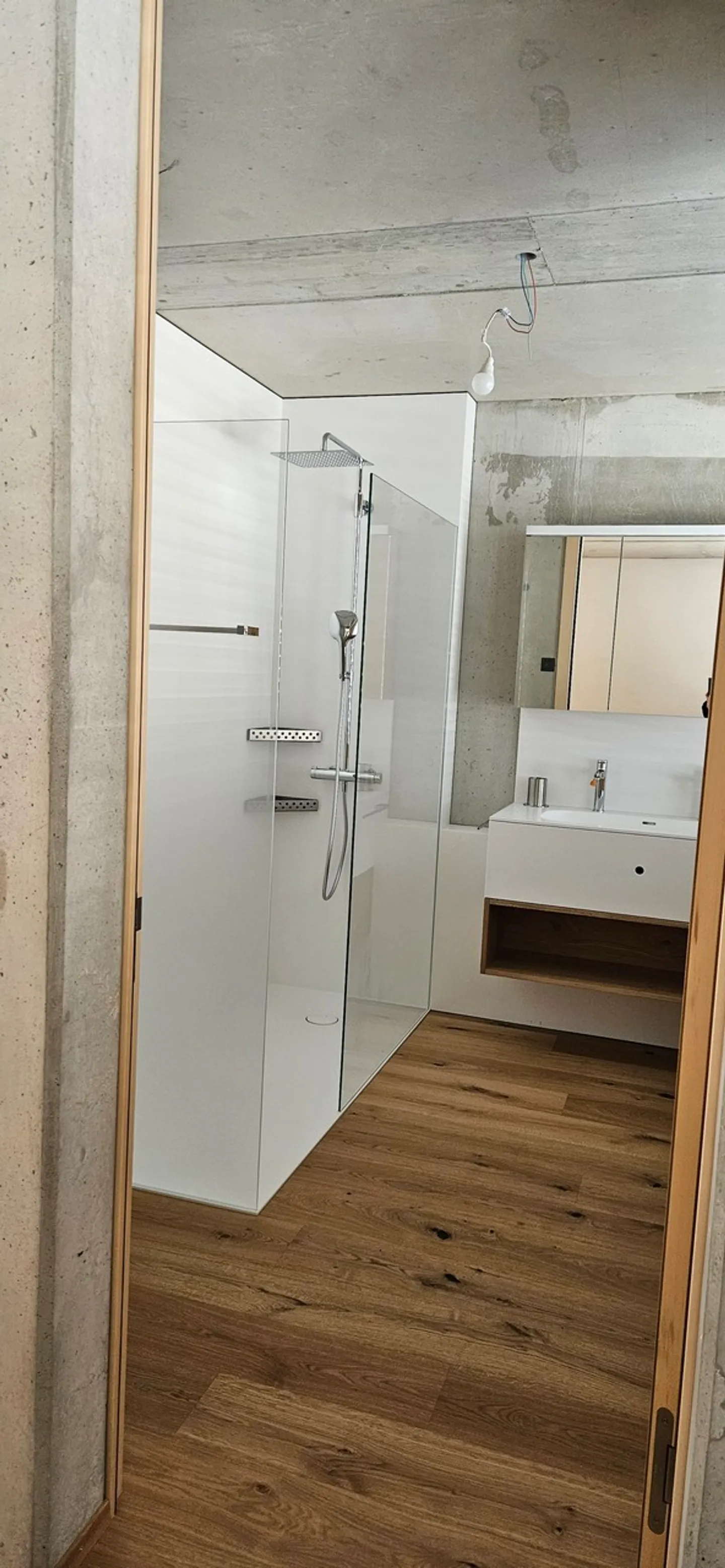 First occupancy 5.5-room apartment in a natural area - Photo 8 of 8