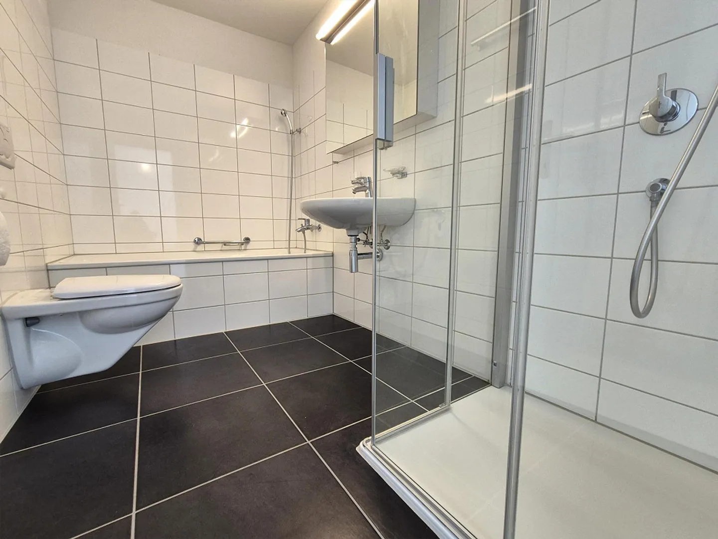 Gemütliche Wohnung an der Reuss - Foto 5 von 8