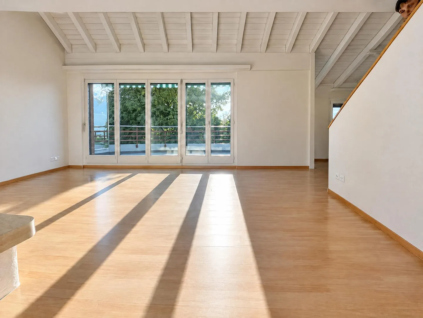 Attico di 5,5 stanze nel centro di Pfäffikon con vista lago - Foto 2 di 9