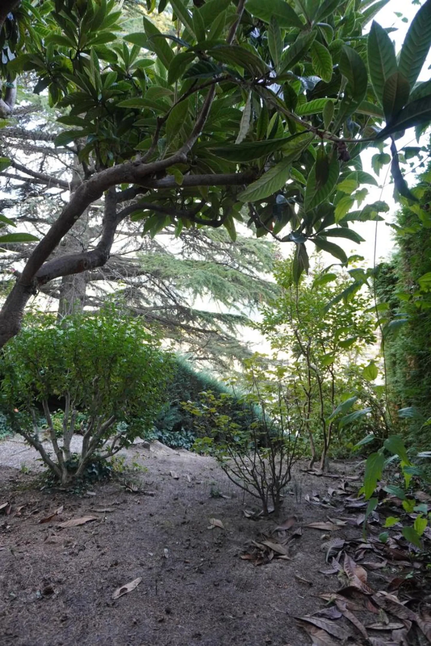 OPPORTUNITÀ ESCLUSIVA - Foto 4 di 10