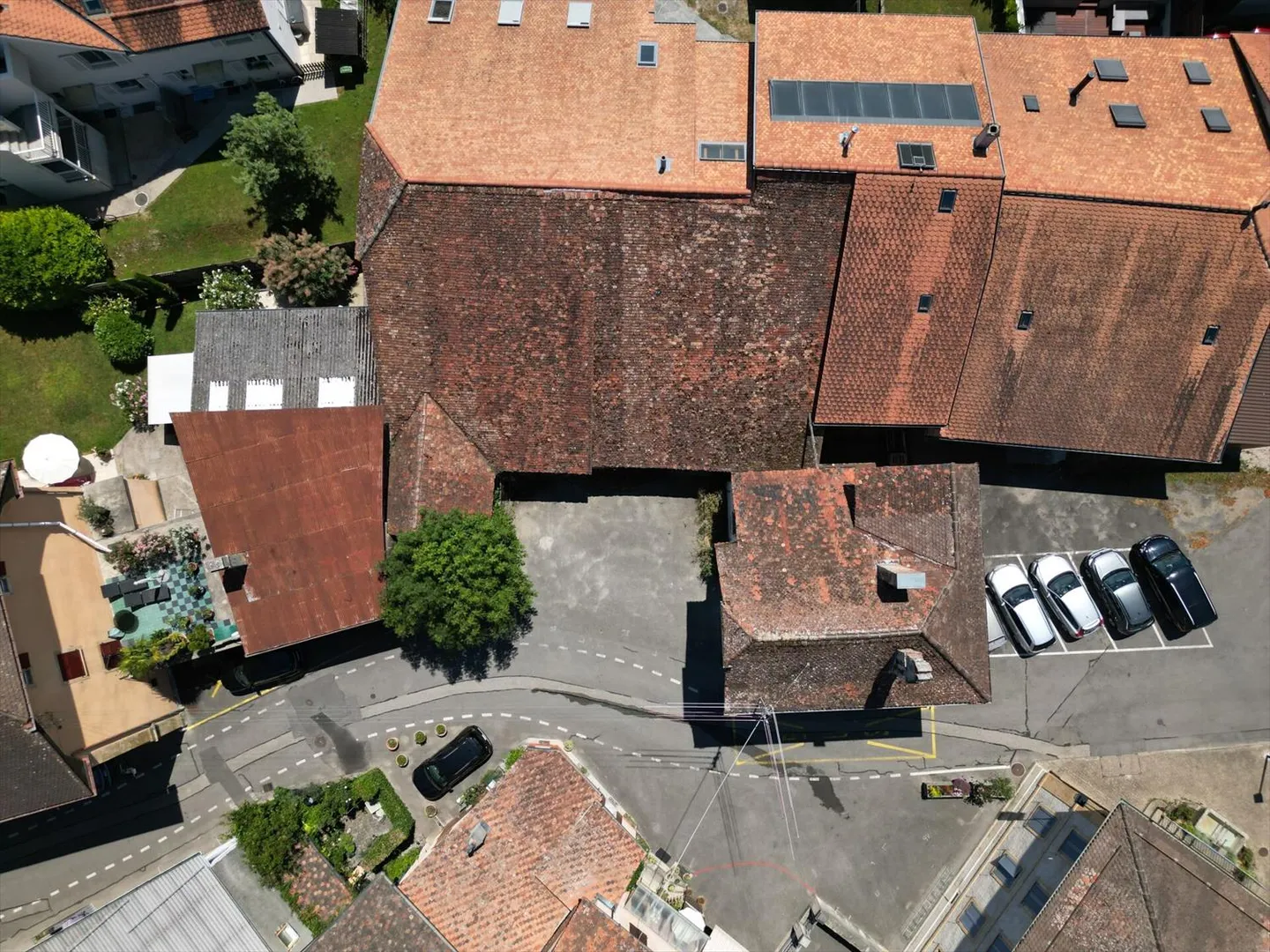 «Enkel - Transformatives Potenzial» - Foto 1 von 7