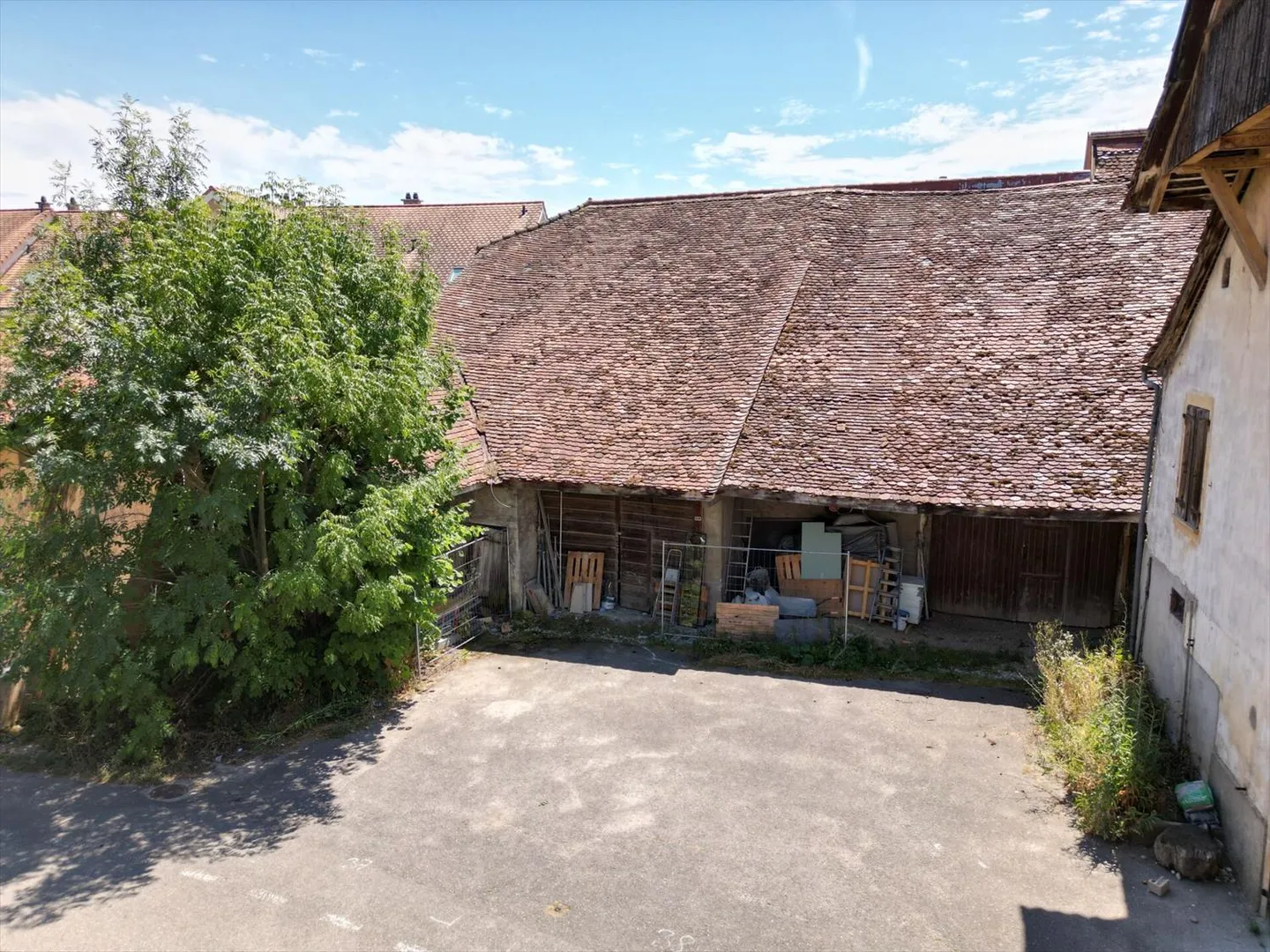 «Enkel - Transformatives Potenzial» - Foto 3 von 7